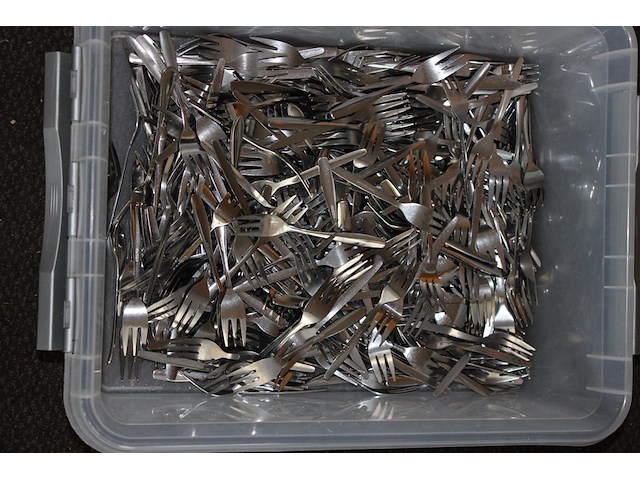 Vorkjes in kunststofbak. - afbeelding 2 van  2