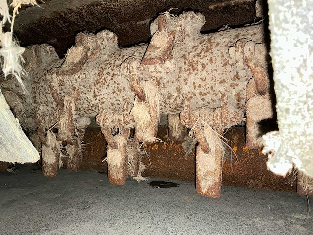 Votex roadmaster 2306 klepelmaaier - afbeelding 13 van  15