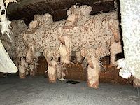 Votex roadmaster 2306 klepelmaaier - afbeelding 13 van  15