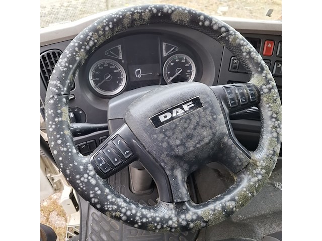 Vrachtwagen, daf, lf 290 fa, 2018 - afbeelding 4 van  48