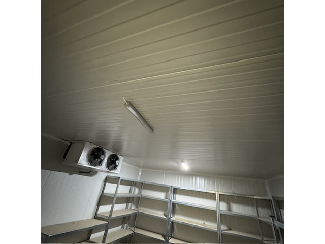 Vriescel, 2019 - afbeelding 11 van  12