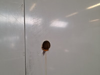 Vriescel, celltherm, 2022 - afbeelding 29 van  32