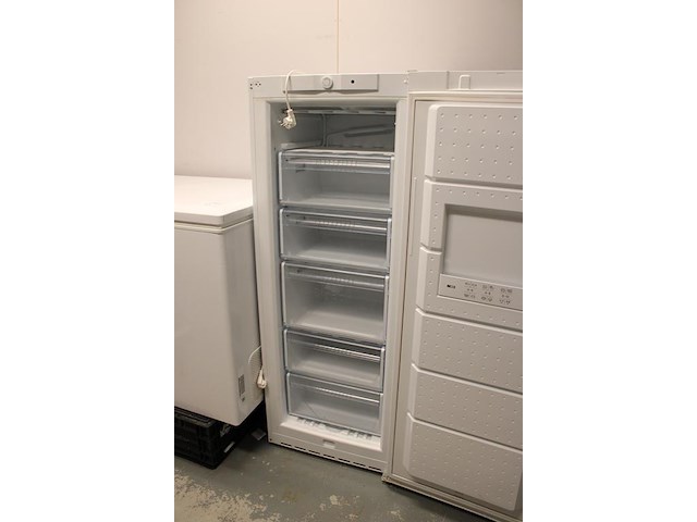 Vrieskast bosch gsdd26a. afmeting 60 x 57 x 155 cm. - afbeelding 2 van  2