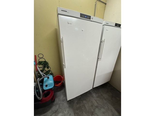 Vrieskast liebherr profiline, ggv5010, wit - afbeelding 1 van  5