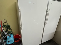 Vrieskast liebherr profiline, ggv5010, wit - afbeelding 1 van  5