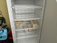 Vrieskast liebherr profiline, ggv5010, wit - afbeelding 5 van  5