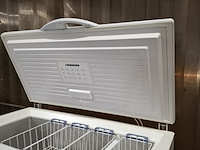 Vrieskist lienherr, gts3723 - afbeelding 5 van  6