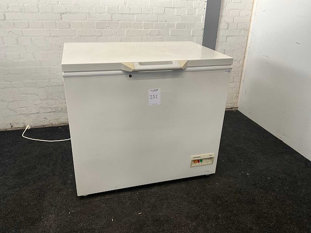 Vrieskist - afbeelding 1 van  9