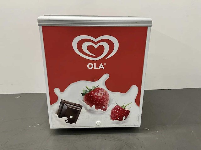 Vrieskist - afbeelding 1 van  3