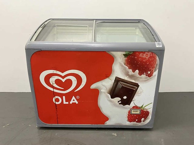 Vrieskist - afbeelding 1 van  7