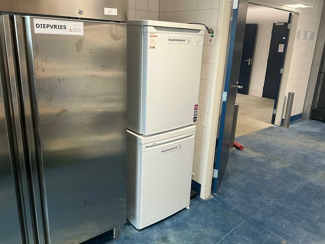 Vriezer (2x) - afbeelding 2 van  4