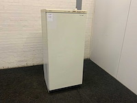 Vriezer - afbeelding 1 van  9