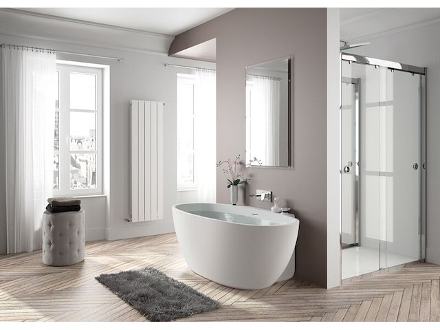 Vrijstaand bad 165x80x58 cm, allibert, asara, mat wit - afbeelding 1 van  4
