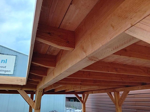 Vrijstaande hoekoverkapping met berging 1000x800x257cm - afbeelding 3 van  14