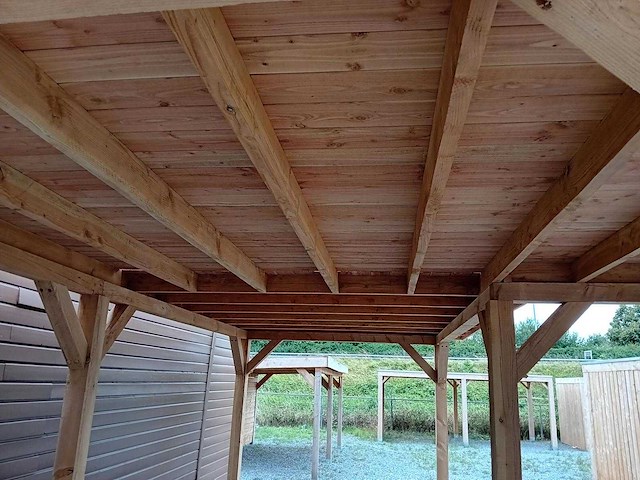 Vrijstaande hoekoverkapping met berging 900x600x257cm - afbeelding 3 van  13