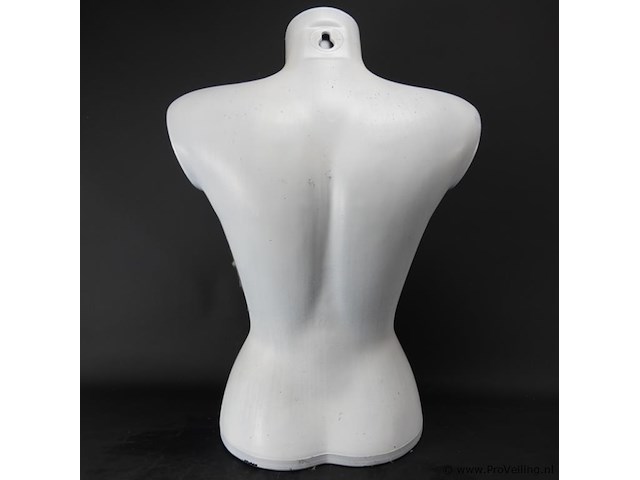 Vrouwentorso - afbeelding 4 van  5