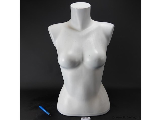 Vrouwentorso - afbeelding 1 van  5