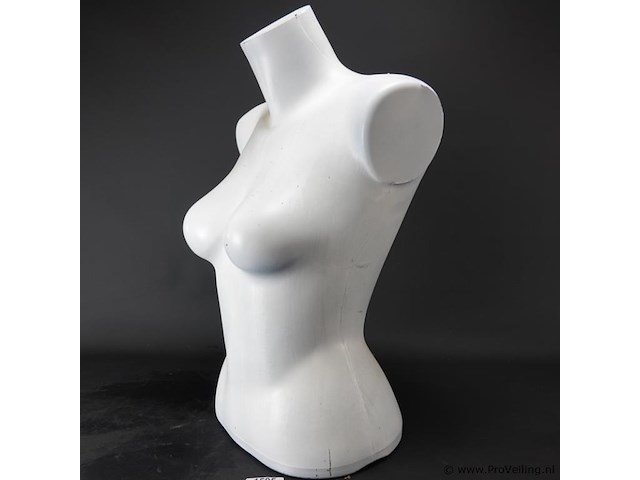 Vrouwentorso - afbeelding 2 van  5
