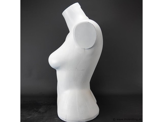 Vrouwentorso - afbeelding 3 van  5