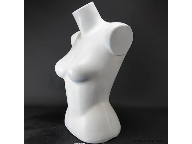 Vrouwentorso - afbeelding 2 van  5