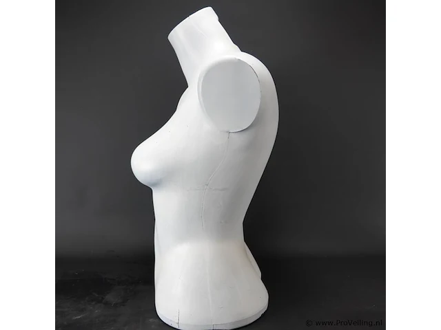 Vrouwentorso - afbeelding 3 van  5
