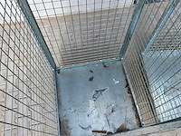 Vts rolkar (2x) - afbeelding 4 van  9