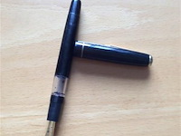 Vulpen regent - afbeelding 2 van  3