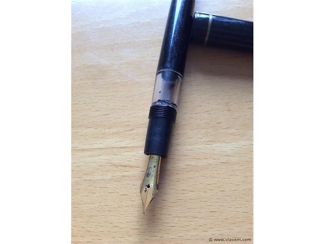 Vulpen regent - afbeelding 3 van  3