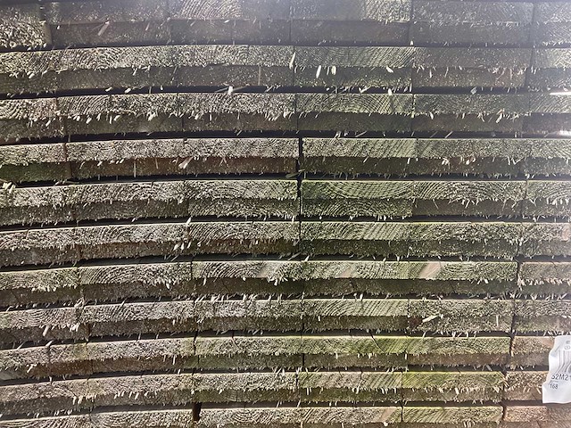 Vuren plank 500x20x3.2 cm (25x) - afbeelding 4 van  5