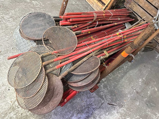 Vuurdover (60x) - afbeelding 3 van  4