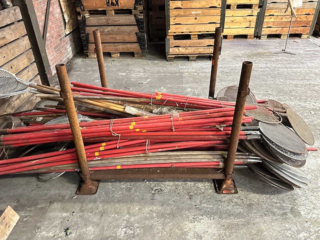 Vuurdover (60x) - afbeelding 4 van  4