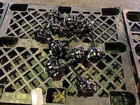 Wabco rembooster/remkamer (10x) - afbeelding 1 van  4