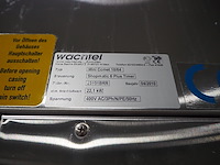 Wachtel - afbeelding 2 van  10