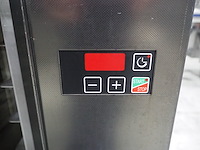 Wachtel - afbeelding 9 van  10