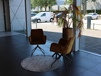 Wachtkamerset bestaande uit twee stoelen, bijzettafel, vloerkleed en plant in pot. - afbeelding 2 van  4