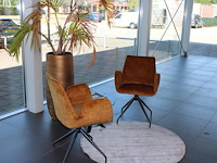 Wachtkamerset bestaande uit twee stoelen, bijzettafel, vloerkleed en plant in pot. - afbeelding 3 van  4