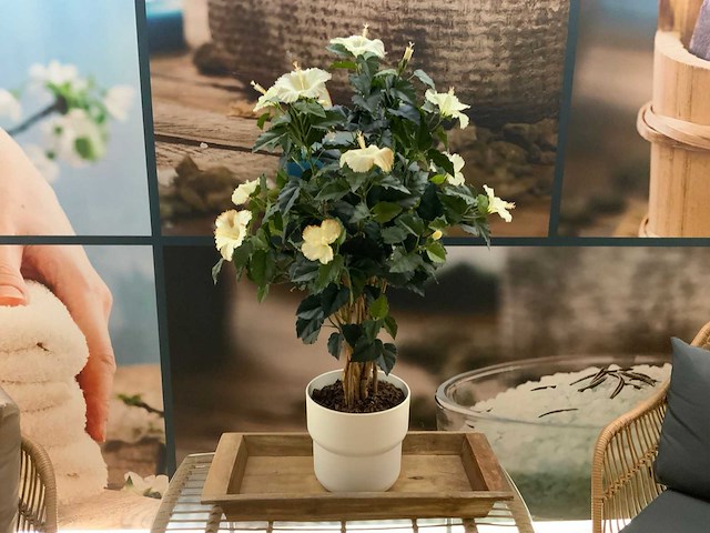 Wachtkamerzitje - afbeelding 6 van  9