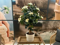 Wachtkamerzitje - afbeelding 6 van  9