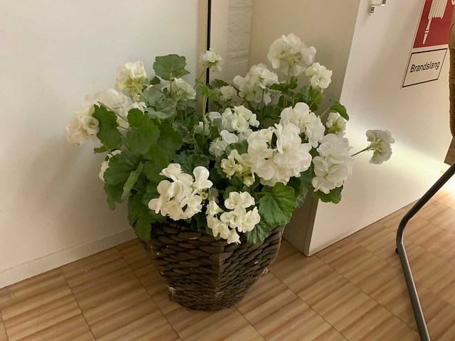 Wachtkamerzitje - afbeelding 7 van  9