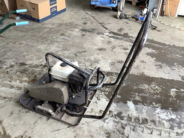 Wacker 1505 trilplaat - afbeelding 2 van  2