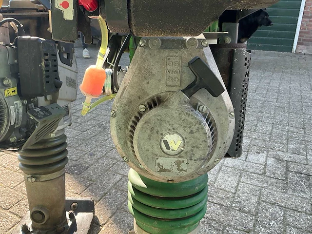 Wacker neuson bs50-4 // bs 600 trilstamper - afbeelding 9 van  13