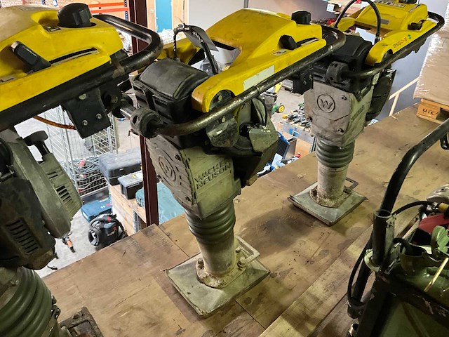 Wacker neuson bs60-2 trilstamper - afbeelding 1 van  7