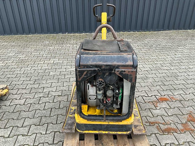 Wacker neuson dpu 6055 trilplaat (2x) - afbeelding 16 van  18