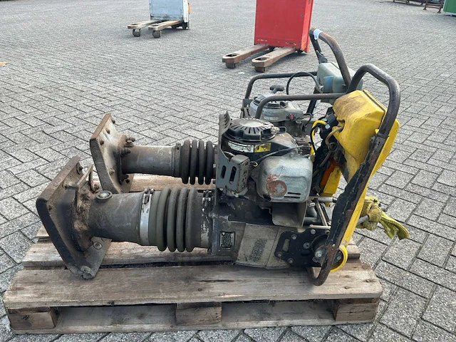 Wacker neuson trilstamper (2x) - afbeelding 6 van  10