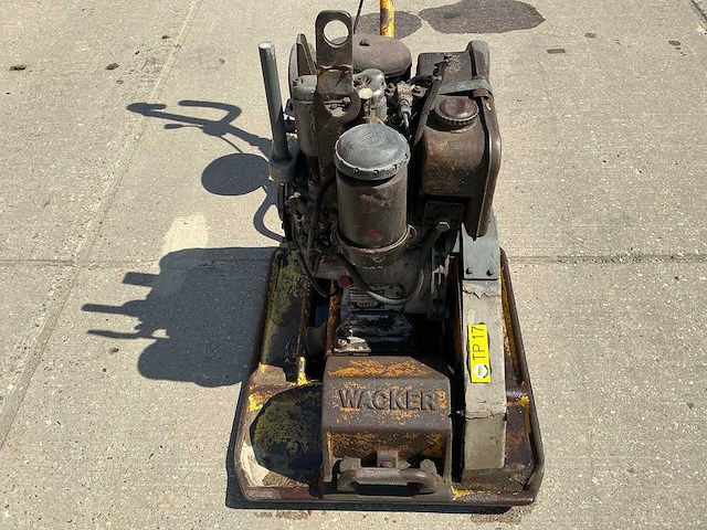 Wacker trilplaat - afbeelding 13 van  13