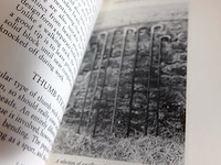 Walking sticks - afbeelding 4 van  5