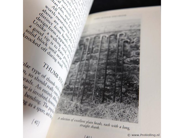 Walking sticks - afbeelding 4 van  5