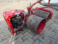 Wals, hornbach, f6s - afbeelding 4 van  11
