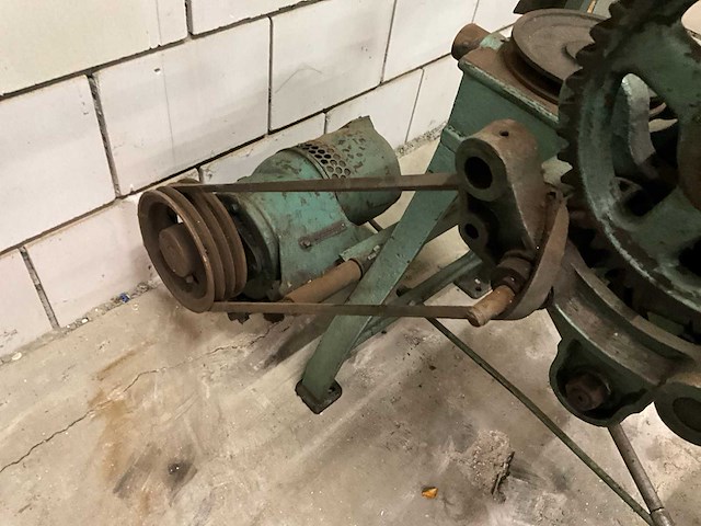 Wals - afbeelding 3 van  6