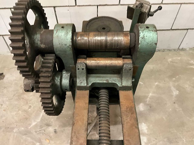 Wals - afbeelding 5 van  6